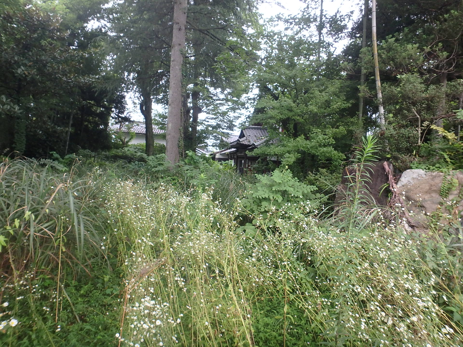 屋敷